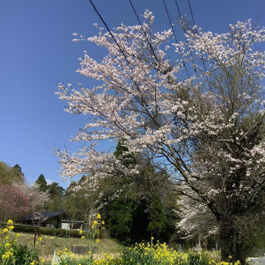 青い空と白い龍 Holiday home Minamiaso