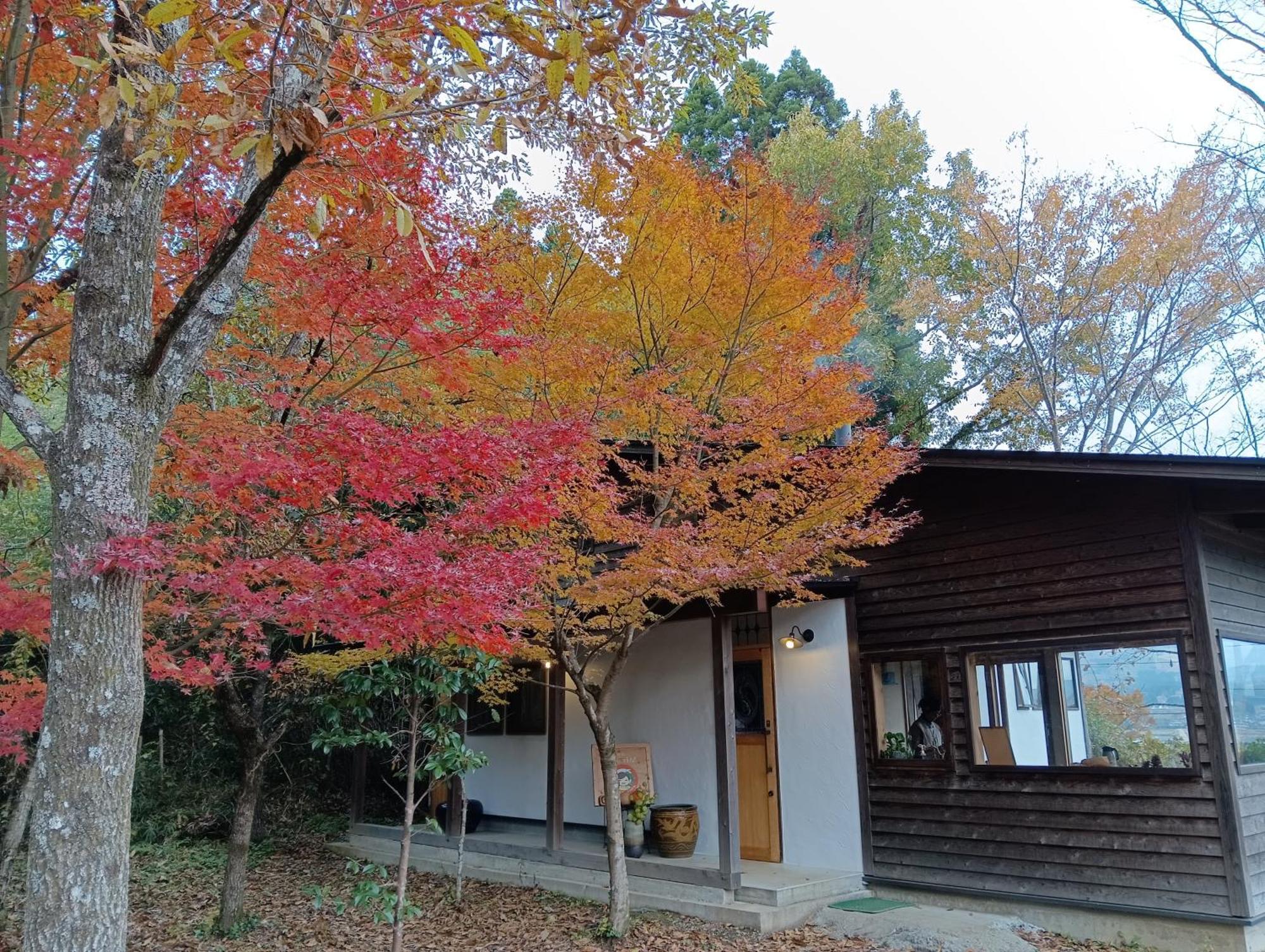 Holiday home 青い空と白い龍